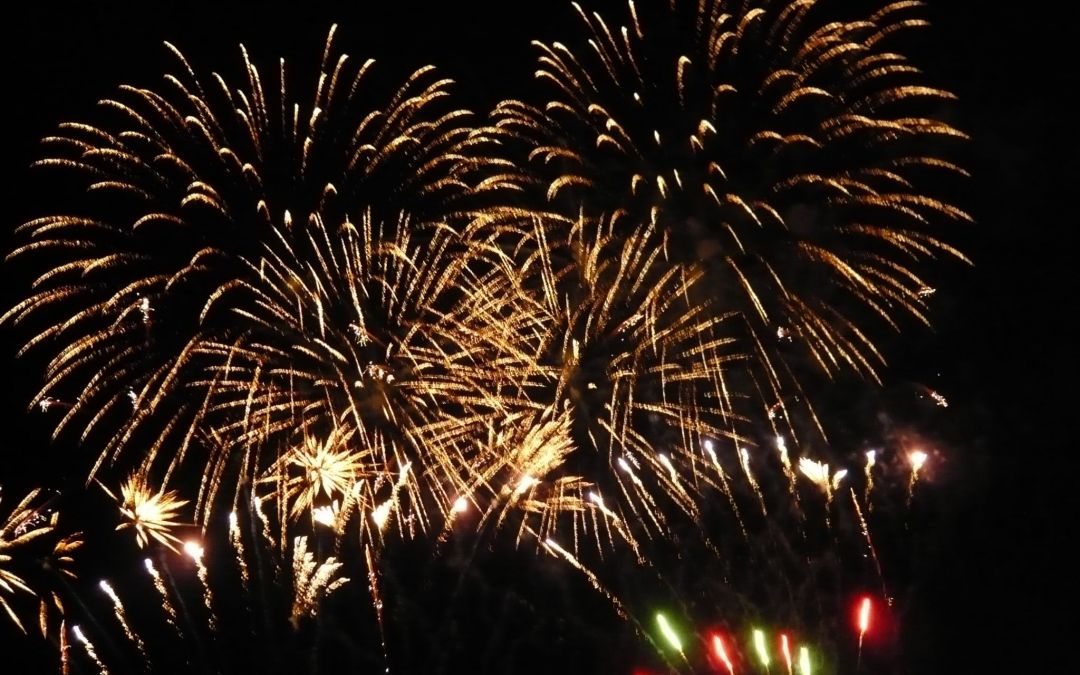 Das Jahr 2019 im Forum
