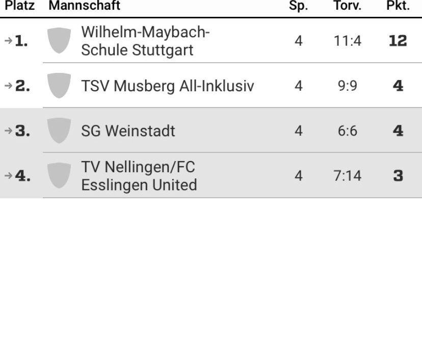 Wir sind gerne im TV Nellingen/FC Esslingen United